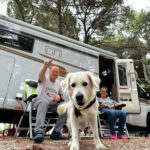 Willkommen bei Fewo on Wheels