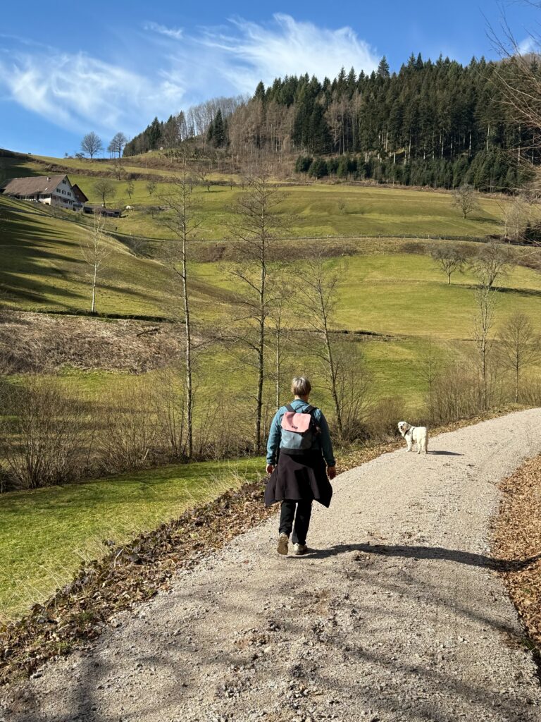 Wanderweg im renchtal von oppenau zu den Allerheiligen Wasserfällen