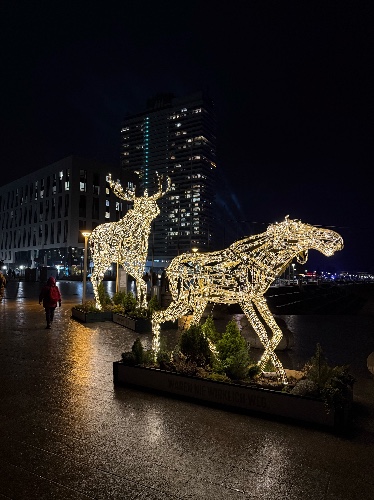 weihnachtliche Elche in Travemünde