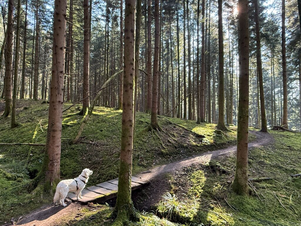 Wanderung Nähe Zell am Hammersbach